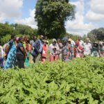 Naomba msaada wa kikatiba juu ya yafuatayo:-1. Sheria ya ardhi na umiliki wake, 2. Haki ya wananchi kuwawajibisha Viongozi pindi wanaposhindwa kufanya yaliyo-matarajio ya Wananchi, 3. Nashauri pia naomba sana ELIMU YA KATIBA MPYA ifike mpaka VIJIJINI.