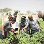 MJADALA WA MASWALI YA MDAU 1. Je, katiba iliyopo sasa ina-mtambuaje Kijana? 2. Je, sheria zetu zinamwelezeaje Kijana na namna Serikali inapaswa kuwekeza kwake (hasa ukizingatia nguvu kubwa ya ujenzi wa Taifa ipo kwa Vijana?)